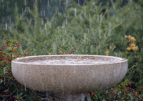 雨的種類|雨の種類は400種以上もある！？知れば知るほど奥深い雨の呼び。